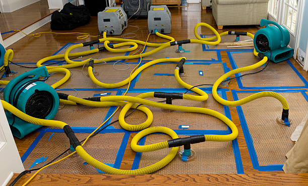 Professional Water Damage Restoration technician working in Alpharetta, GA